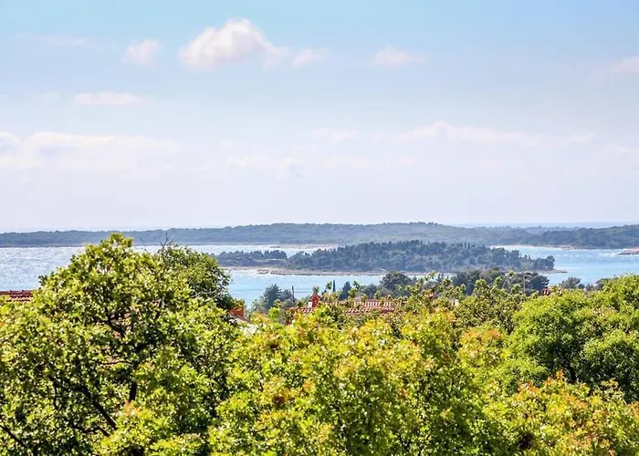 With Private Pool Apartman